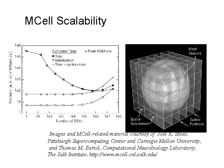MCell Scalability Images and MCell-related material courtesy of Joel R. Stiles, Pittsburgh Supercomputing Center