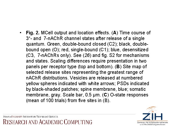  • Fig. 2. MCell output and location effects. (A) Time course of 3*-