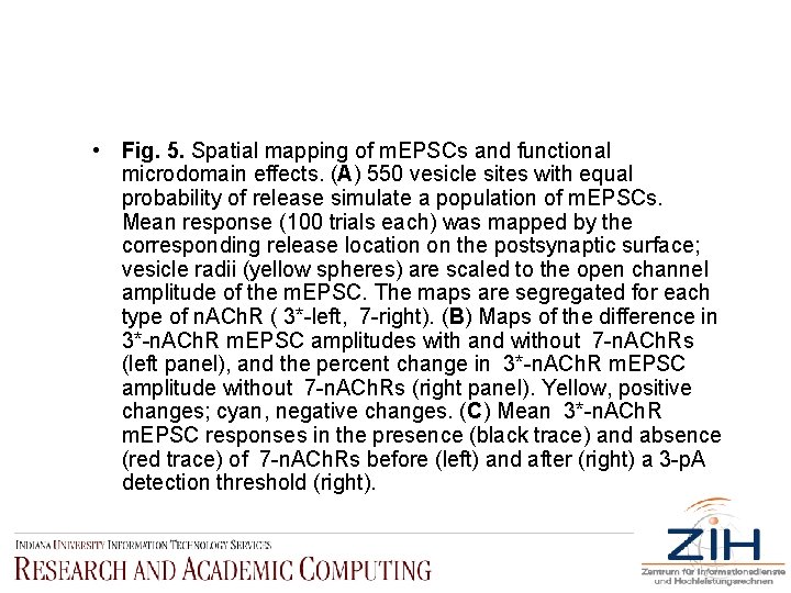 • Fig. 5. Spatial mapping of m. EPSCs and functional microdomain effects. (A)