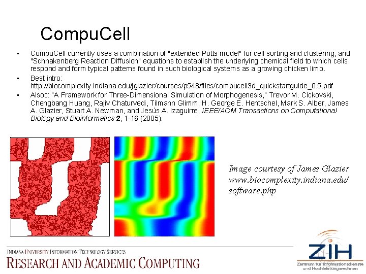 Compu. Cell • • • Compu. Cell currently uses a combination of "extended Potts