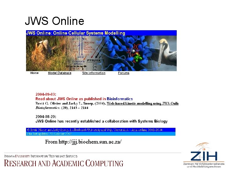 JWS Online From http: //jjj. biochem. sun. ac. za/ 