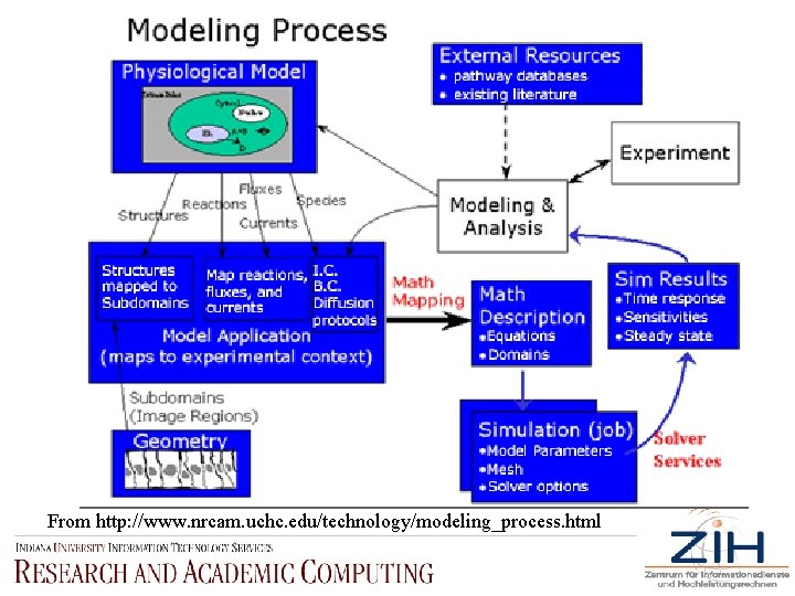 From http: //www. nrcam. uchc. edu/technology/modeling_process. html 