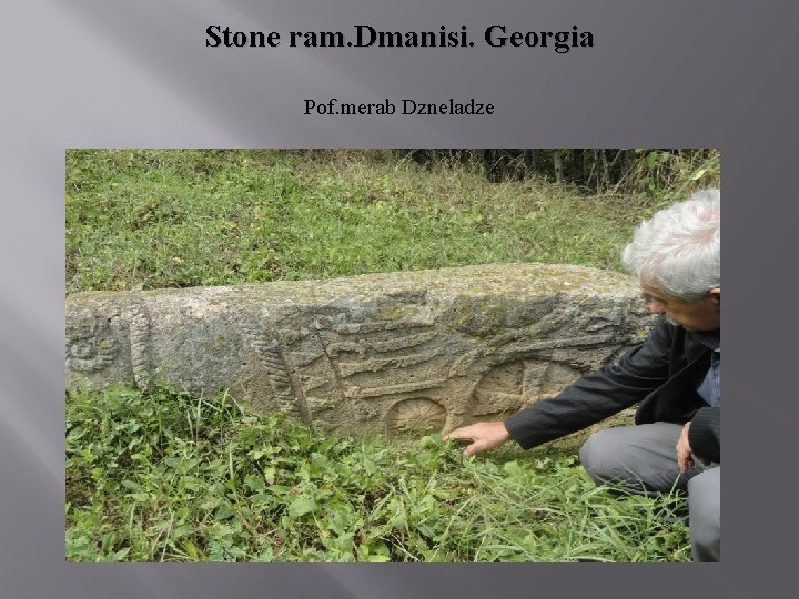 Stone ram. Dmanisi. Georgia Pof. merab Dzneladze 