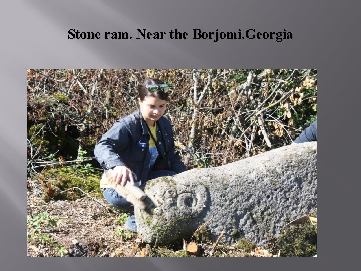 Stone ram. Near the Borjomi. Georgia 