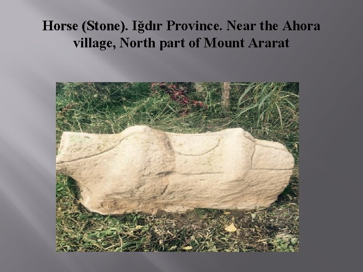 Horse (Stone). Iğdır Province. Near the Ahora village, North part of Mount Ararat 