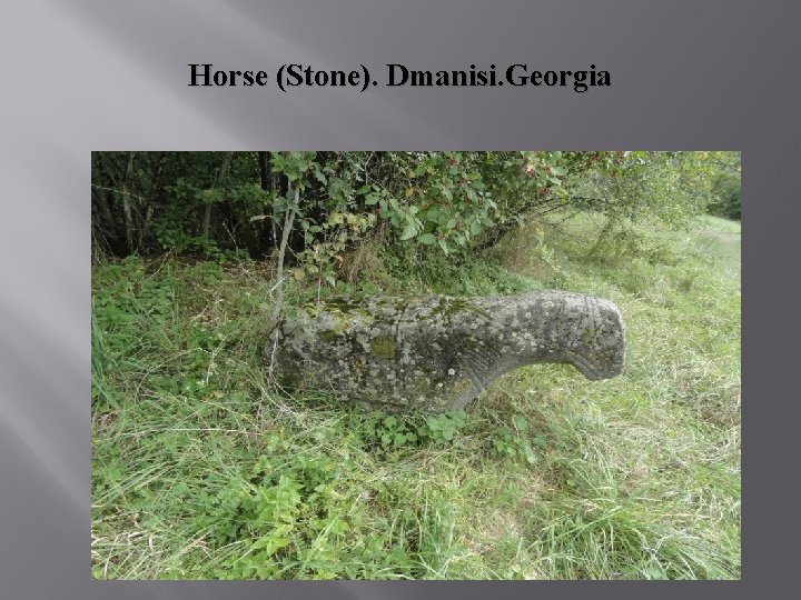 Horse (Stone). Dmanisi. Georgia 