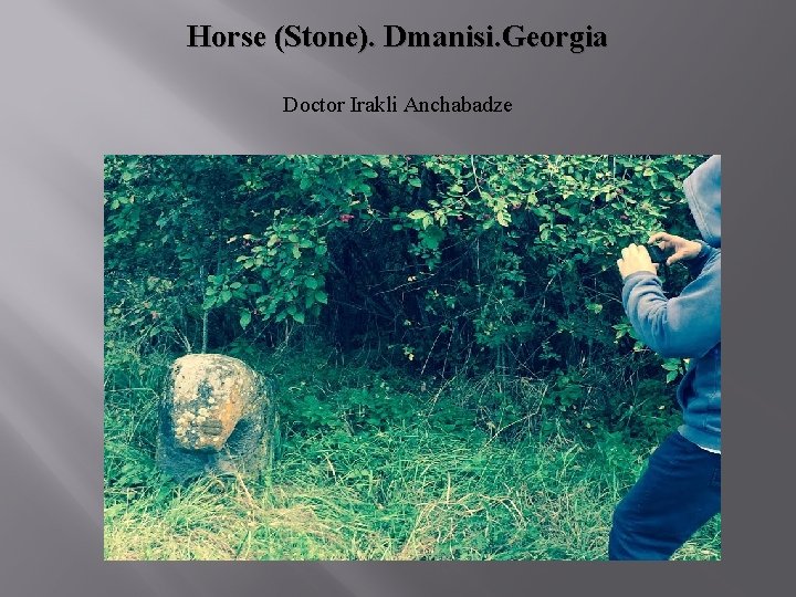 Horse (Stone). Dmanisi. Georgia Doctor Irakli Anchabadze 