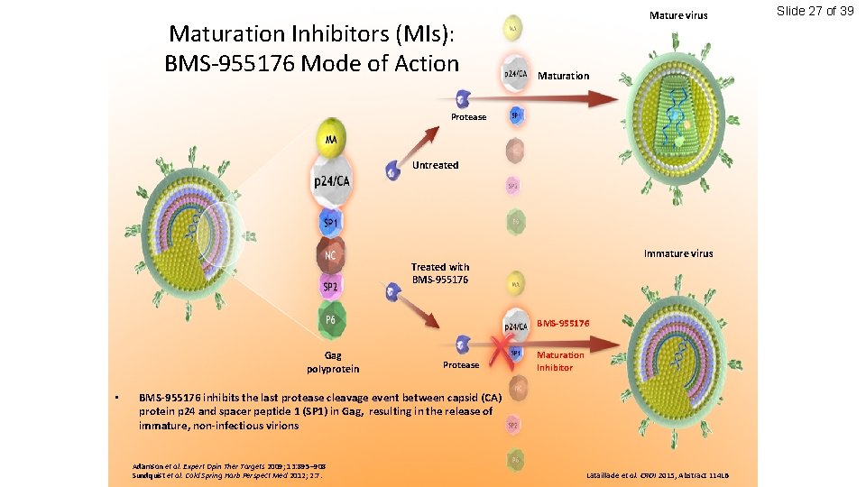 Maturation Inhibitors (MIs): BMS-955176 Mode of Action Mature virus Maturation Protease Untreated Immature virus