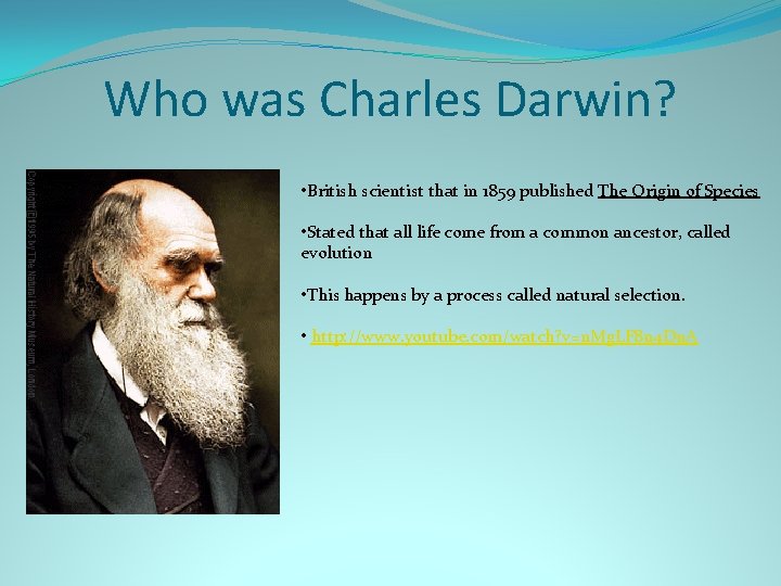 Who was Charles Darwin? • British scientist that in 1859 published The Origin of