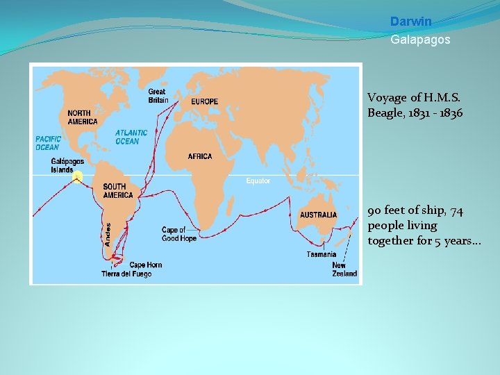 Darwin Galapagos Voyage of H. M. S. Beagle, 1831 - 1836 90 feet of