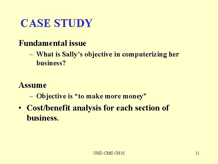 CASE STUDY Fundamental issue – What is Sally’s objective in computerizing her business? Assume