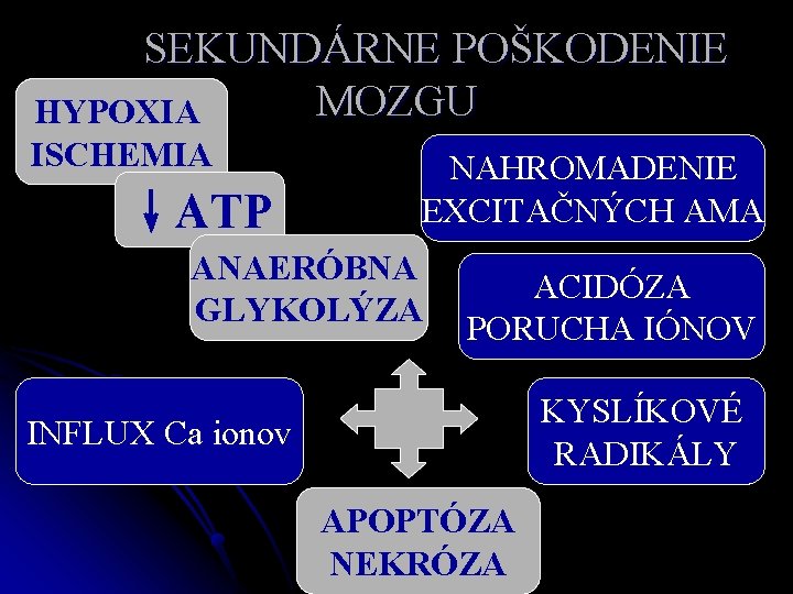 SEKUNDÁRNE POŠKODENIE MOZGU HYPOXIA ISCHEMIA ↓ATP NAHROMADENIE EXCITAČNÝCH AMA ANAERÓBNA GLYKOLÝZA ACIDÓZA PORUCHA IÓNOV