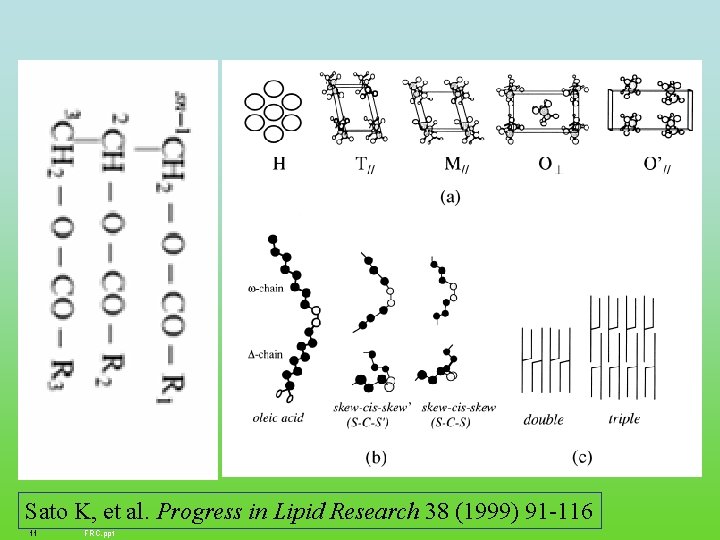 Sato K, et al. Progress in Lipid Research 38 (1999) 91 -116 11 FRC.