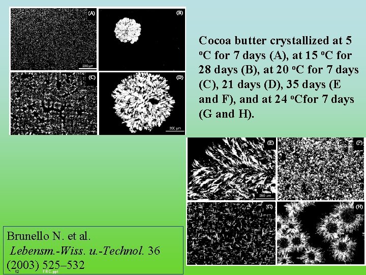 Cocoa butter crystallized at 5 o. C for 7 days (A), at 15 o.