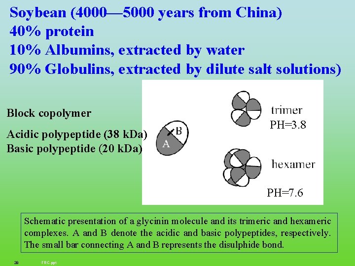 Soybean (4000— 5000 years from China) 40% protein 10% Albumins, extracted by water 90%