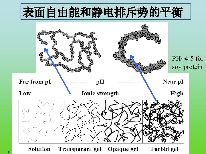表面自由能和静电排斥势的平衡 PH~4 -5 for soy protein 31 FRC. ppt 