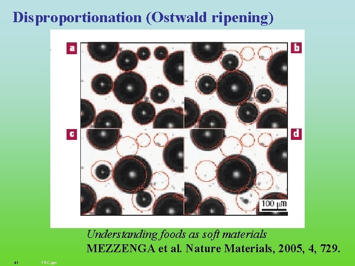 Disproportionation (Ostwald ripening) Understanding foods as soft materials MEZZENGA et al. Nature Materials, 2005,