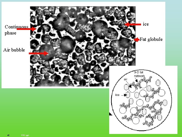 Continuous phase ice Fat globule Air bubble 45 FRC. ppt 