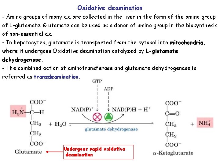Amino Acids Metabolism Disposal of Nitrogen a a