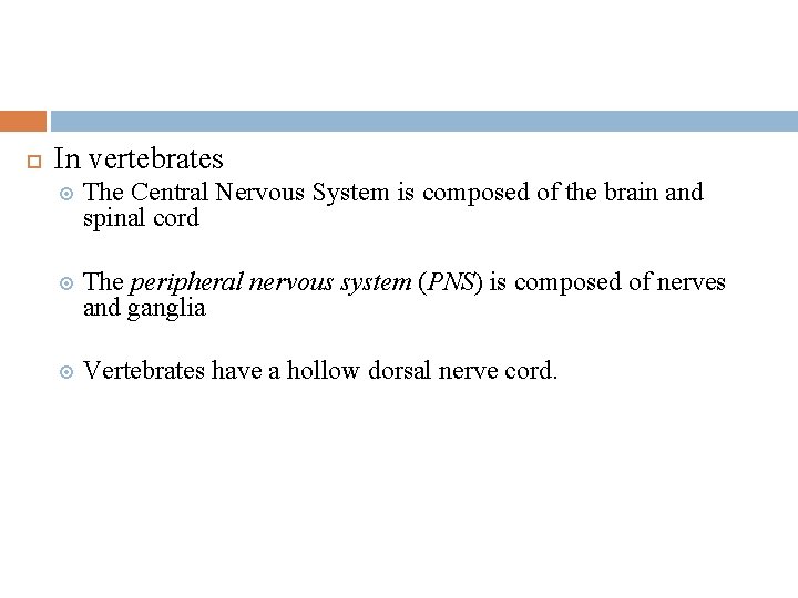  In vertebrates The Central Nervous System is composed of the brain and spinal