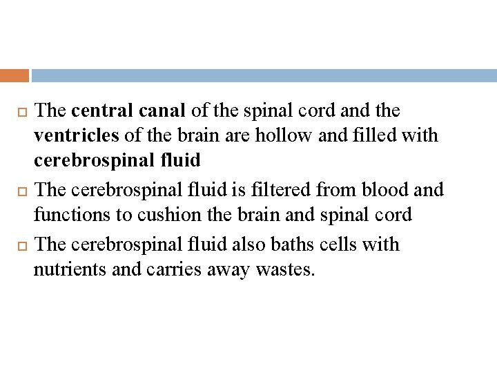 The central canal of the spinal cord and the ventricles of the brain are