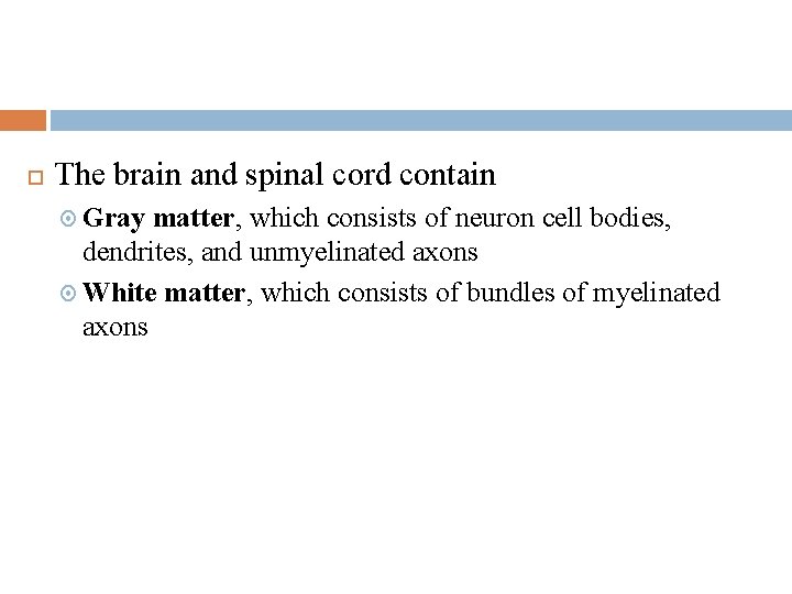  The brain and spinal cord contain Gray matter, which consists of neuron cell