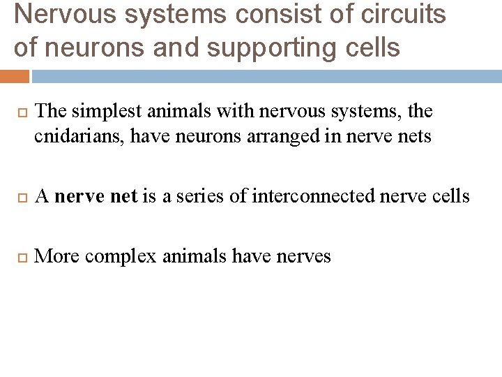 Nervous systems consist of circuits of neurons and supporting cells The simplest animals with