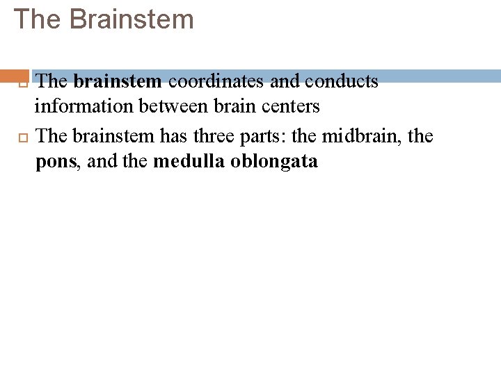 The Brainstem The brainstem coordinates and conducts information between brain centers The brainstem has