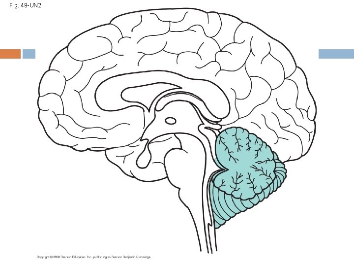 Fig. 49 -UN 2 