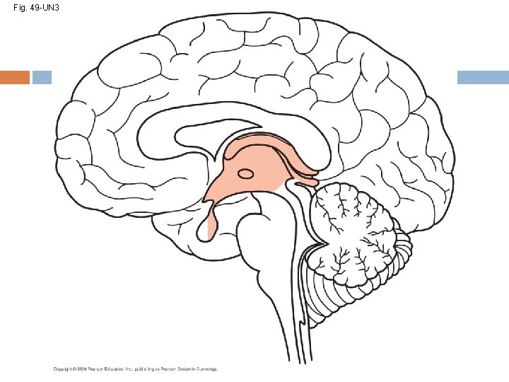 Fig. 49 -UN 3 