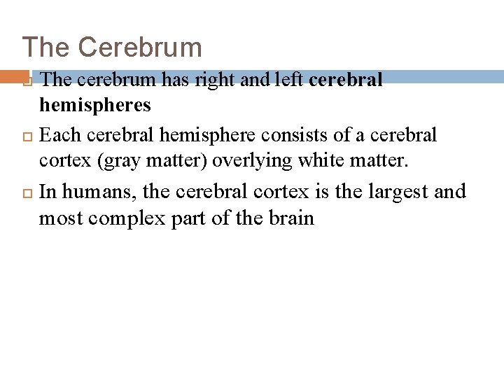 The Cerebrum The cerebrum has right and left cerebral hemispheres Each cerebral hemisphere consists