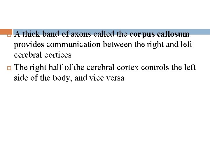 A thick band of axons called the corpus callosum provides communication between the right
