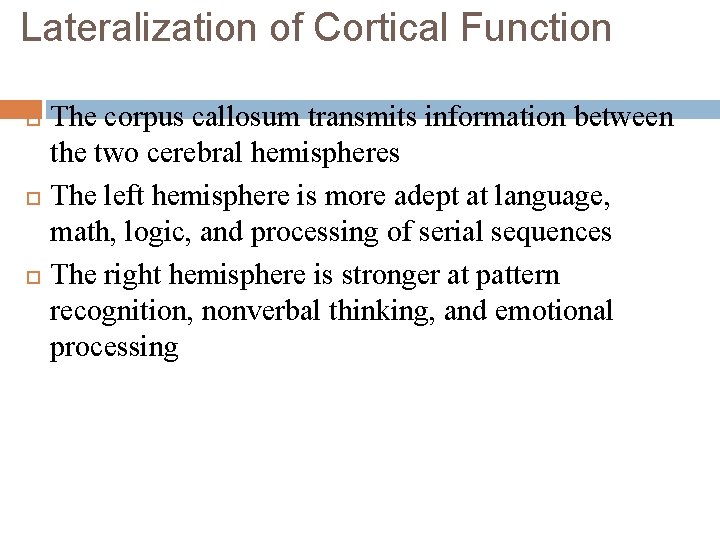 Lateralization of Cortical Function The corpus callosum transmits information between the two cerebral hemispheres