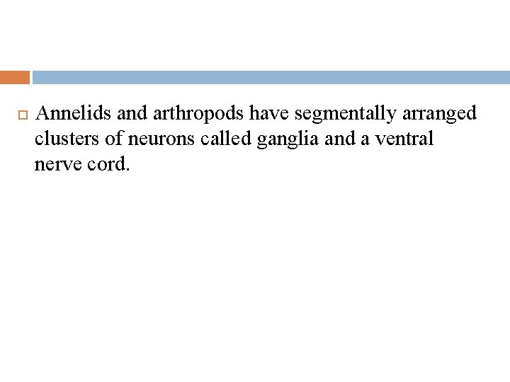  Annelids and arthropods have segmentally arranged clusters of neurons called ganglia and a