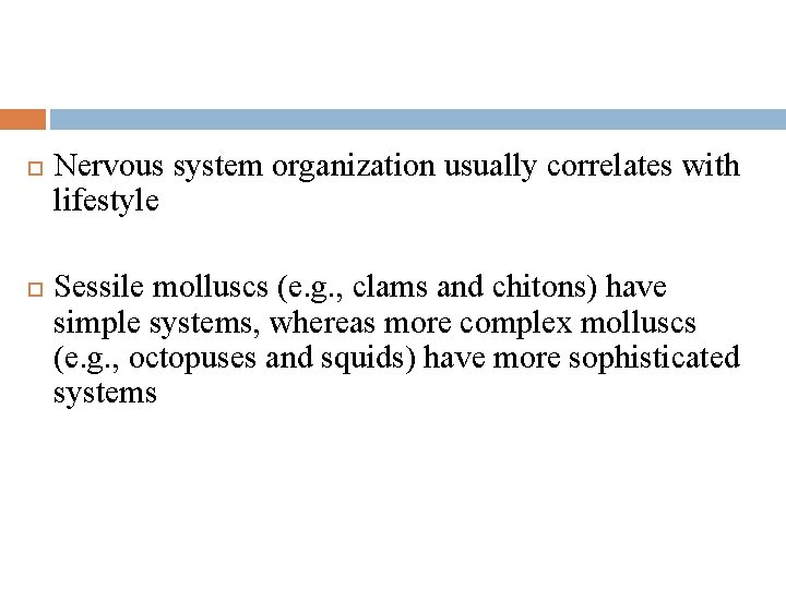  Nervous system organization usually correlates with lifestyle Sessile molluscs (e. g. , clams