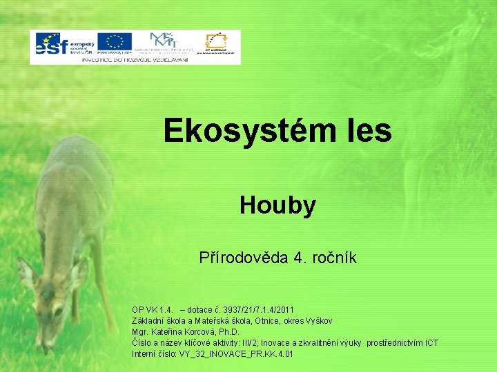 Ekosystém les Houby Přírodověda 4. ročník OP VK 1. 4. – dotace č. 3937/21/7.