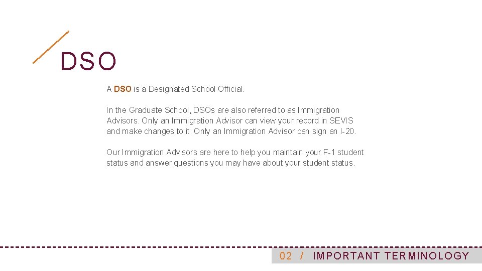 DSO A DSO is a Designated School Official. In the Graduate School, DSOs are