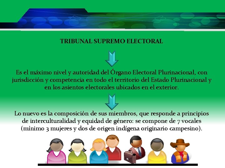 TRIBUNAL SUPREMO ELECTORAL Es el máximo nivel y autoridad del Órgano Electoral Plurinacional, con