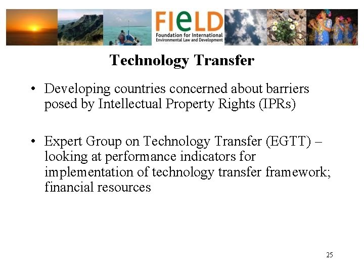 Technology Transfer • Developing countries concerned about barriers posed by Intellectual Property Rights (IPRs)