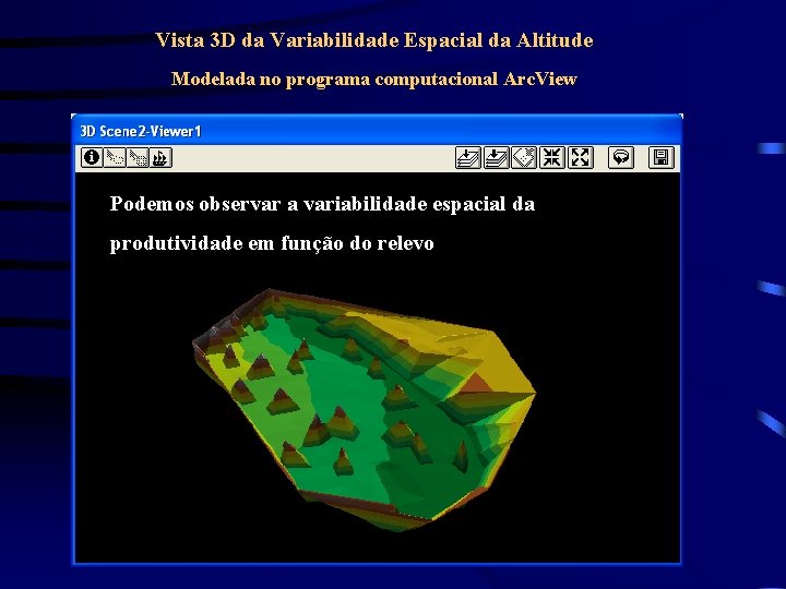 Vista 3 D da Variabilidade Espacial da Altitude Modelada no programa computacional Arc. View