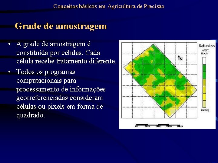 Conceitos básicos em Agricultura de Precisão Grade de amostragem • A grade de amostragem