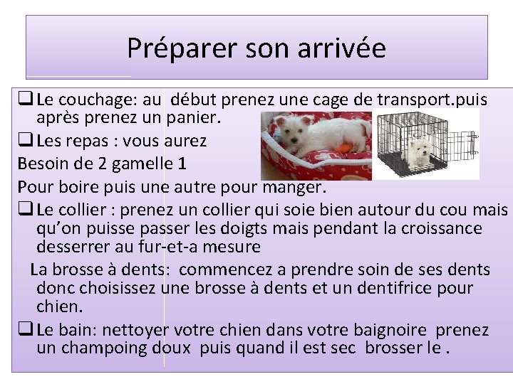 Préparer son arrivée q Le couchage: au début prenez une cage de transport. puis