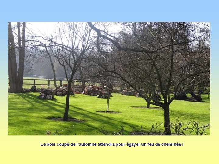 Le bois coupé de l’automne attendra pour égayer un feu de cheminée ! 