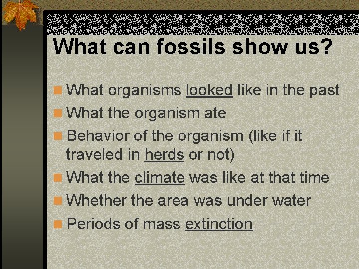 What can fossils show us? n What organisms looked like in the past n