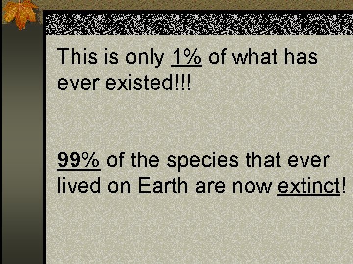 This is only 1% of what has ever existed!!! 99% of the species that
