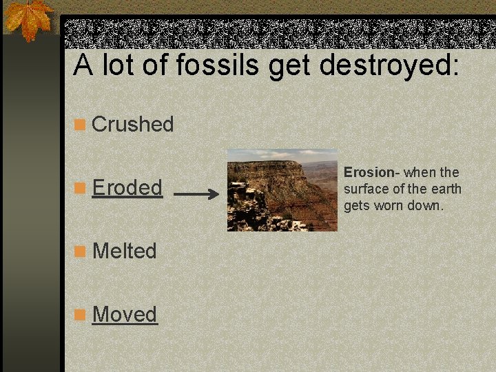 A lot of fossils get destroyed: n Crushed n Eroded n Melted n Moved