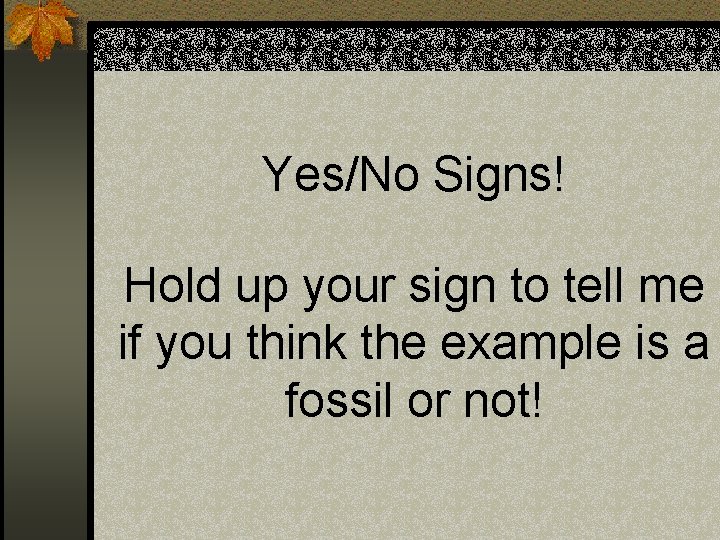 Yes/No Signs! Hold up your sign to tell me if you think the example