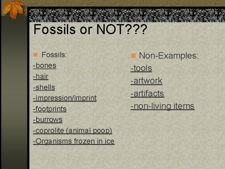 Fossils or NOT? ? ? n Fossils: n Non-Examples: -bones -hair -shells -impression/imprint -footprints
