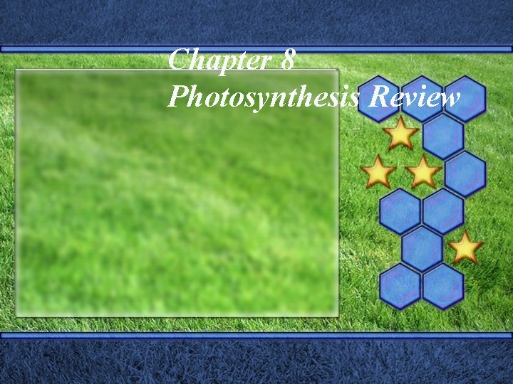 Chapter 8 Photosynthesis Review Review Rules Answers must