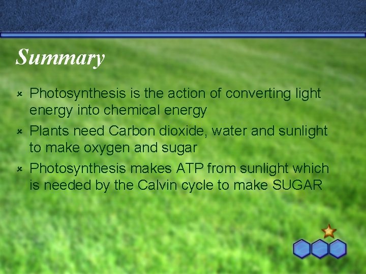 Chapter 8 Photosynthesis Review Review Rules Answers must